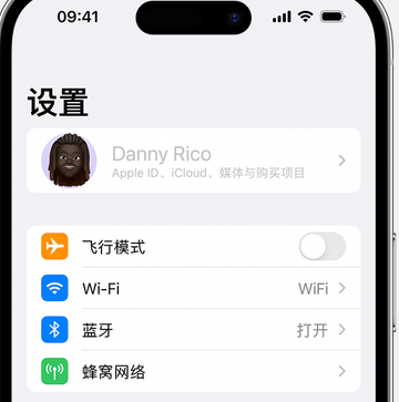 聂荣appleID维修服务iPhone设置中Apple ID显示为灰色无法使用 