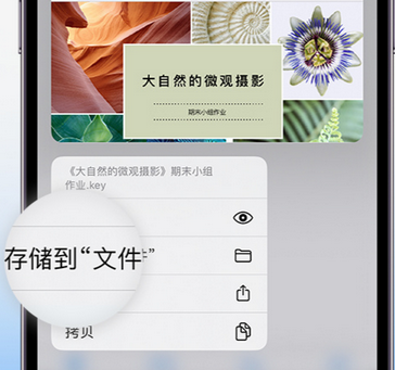 聂荣apple维修中心分享iPhone文件应用中存储和找到下载文件