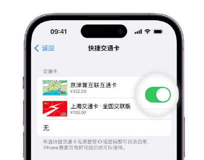 聂荣apple维修点分享iPhone上更换Apple Pay快捷交通卡手绘卡面 