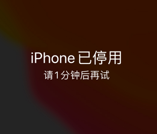 聂荣苹果手机维修分享:iPhone 显示“不可用”或“已停用”怎么办？还能保留数据吗？ 