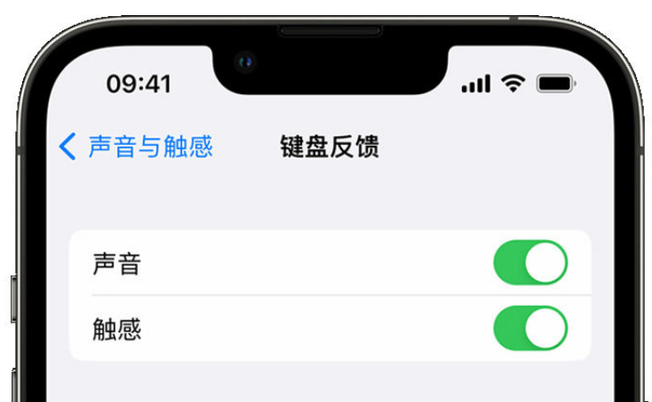 聂荣苹果手机维修分享iPhone 14触感键盘使用方法 