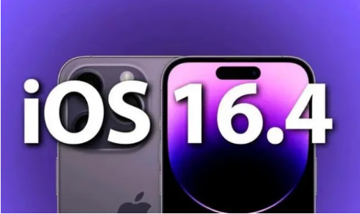 聂荣苹果14维修分享：iPhone14可以升级iOS16.4beta2吗？ 