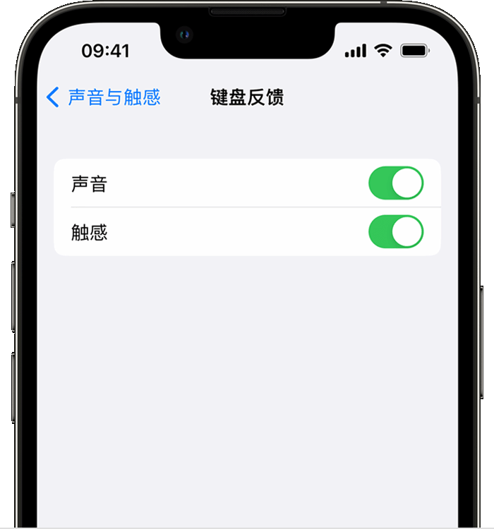 聂荣苹果14维修店分享如何在 iPhone 14 机型中使用触感键盘 