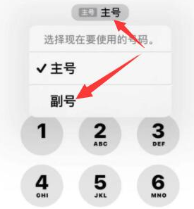 聂荣苹果14维修店分享iPhone 14 Pro Max使用副卡打电话的方法 