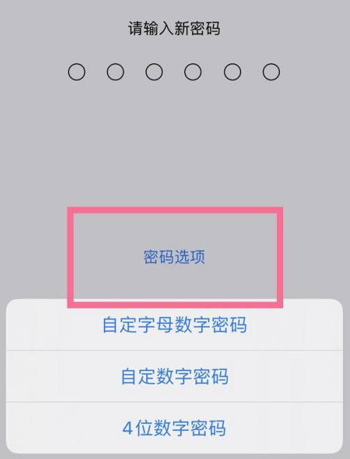 聂荣苹果14维修分享iPhone 14plus设置密码的方法 