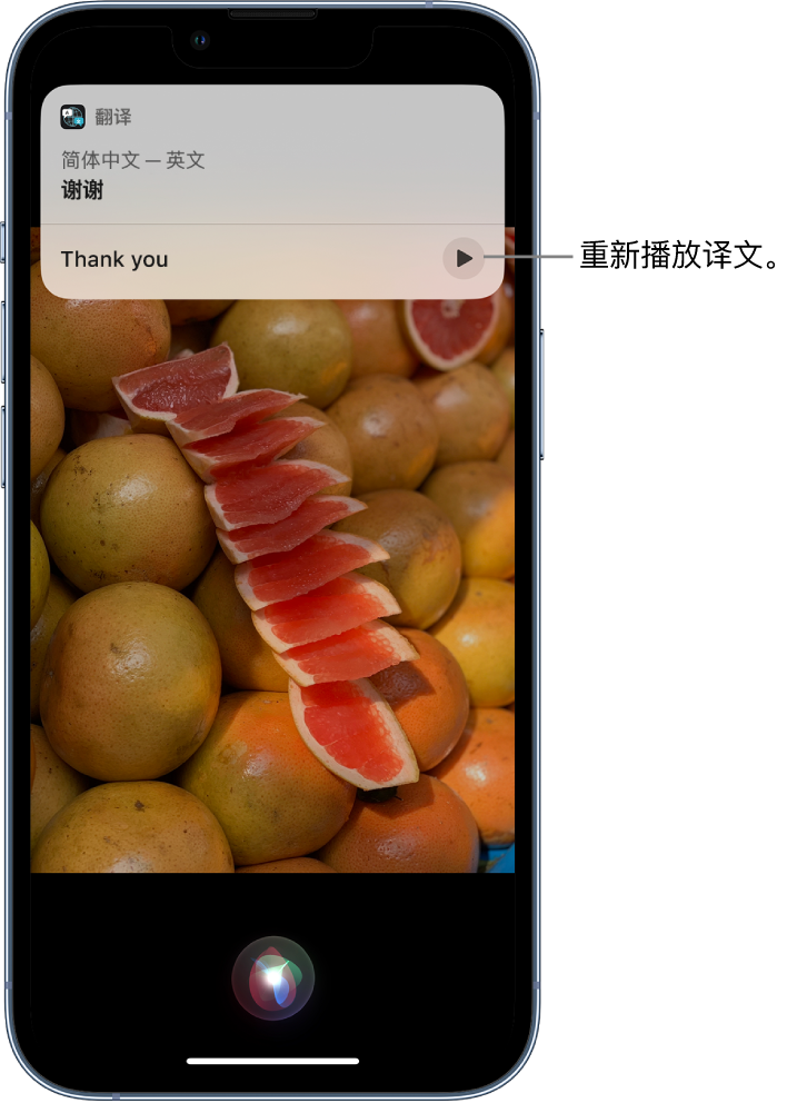 聂荣苹果14维修分享 iPhone 14 机型中使用 Siri：了解 Siri 能帮你做什么 