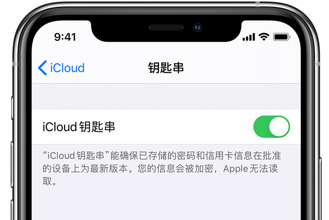 聂荣苹果手机维修分享在 iPhone 上开启 iCloud 钥匙串之后会储存哪些信息 